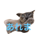 His name is Lagoon3（個別スタンプ：3）
