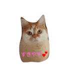 ねこ 大阪弁ver（個別スタンプ：6）