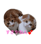 ねこ 大阪弁ver（個別スタンプ：7）