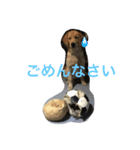 ゴールデンレトリバーしゅんくん（個別スタンプ：3）