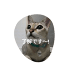 ココアやん（個別スタンプ：7）