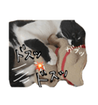 TOM    by Asuka（個別スタンプ：2）
