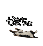 TOM    by Asuka（個別スタンプ：5）