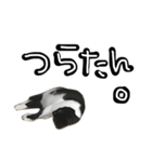 TOM    by Asuka（個別スタンプ：8）