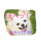 チョコちゃんだよ～（個別スタンプ：5）