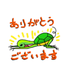 亀虫スタンプ（個別スタンプ：6）