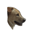 Giant Dog Dog（個別スタンプ：2）