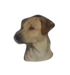 Giant Dog Dog（個別スタンプ：7）