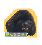 kyouken（個別スタンプ：1）