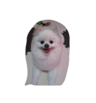 cccuuuttteee（個別スタンプ：5）