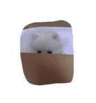 cccuuuttteee（個別スタンプ：11）