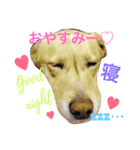 バンビ~真似して作ってみたver.~（個別スタンプ：1）