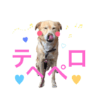 バンビ~真似して作ってみたver.~（個別スタンプ：5）