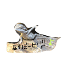 ミラ＆ルナ日常（個別スタンプ：4）