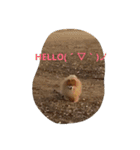 ラブちゃんの日常2（個別スタンプ：5）