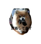 ラブちゃんの日常2（個別スタンプ：8）