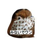 ラブちゃんの日常2（個別スタンプ：13）