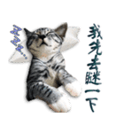 魚だけもはやない（個別スタンプ：1）