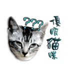 魚だけもはやない（個別スタンプ：3）