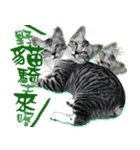 魚だけもはやない（個別スタンプ：4）