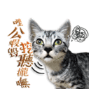 魚だけもはやない（個別スタンプ：5）