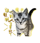 魚だけもはやない（個別スタンプ：6）