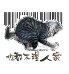 魚だけもはやない（個別スタンプ：8）