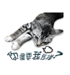 魚だけもはやない（個別スタンプ：9）