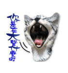 魚だけもはやない（個別スタンプ：10）