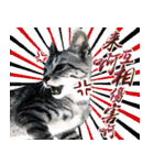 魚だけもはやない（個別スタンプ：12）