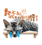 魚だけもはやない（個別スタンプ：13）