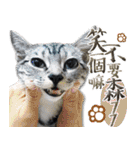魚だけもはやない（個別スタンプ：14）