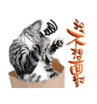 魚だけもはやない（個別スタンプ：15）