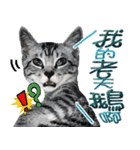 魚だけもはやない（個別スタンプ：18）