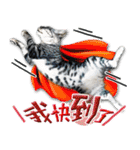 魚だけもはやない（個別スタンプ：21）