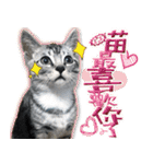 魚だけもはやない（個別スタンプ：24）