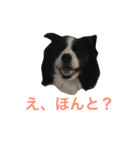 日々アンディ（個別スタンプ：3）