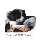 日々アンディ（個別スタンプ：6）