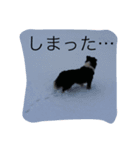 日々アンディ（個別スタンプ：9）