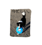 日々アンディ（個別スタンプ：10）