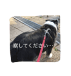 日々アンディ（個別スタンプ：16）