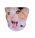 NEKOBAI（個別スタンプ：1）