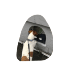JRTアンナ（個別スタンプ：5）