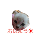 使えるもーみん's（個別スタンプ：2）