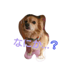 使えるもーみん's（個別スタンプ：10）