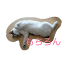 使えるもーみん's（個別スタンプ：12）