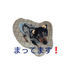 使えるもーみん's（個別スタンプ：14）