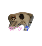 使えるもーみん's（個別スタンプ：17）