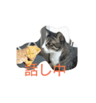 使えるもーみん's（個別スタンプ：19）