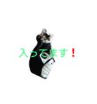 使えるもーみん's（個別スタンプ：22）